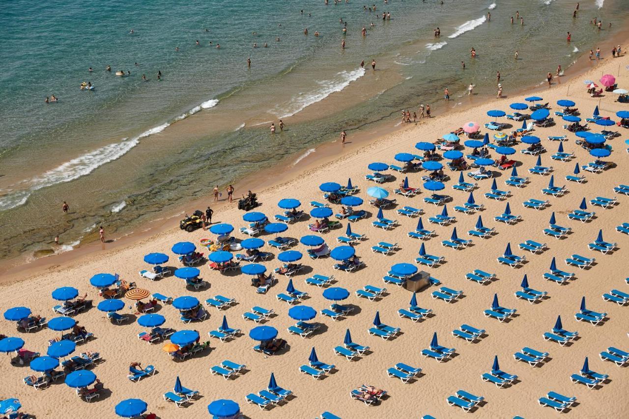 Las Palmeras 15A Apartment Benidorm Bagian luar foto