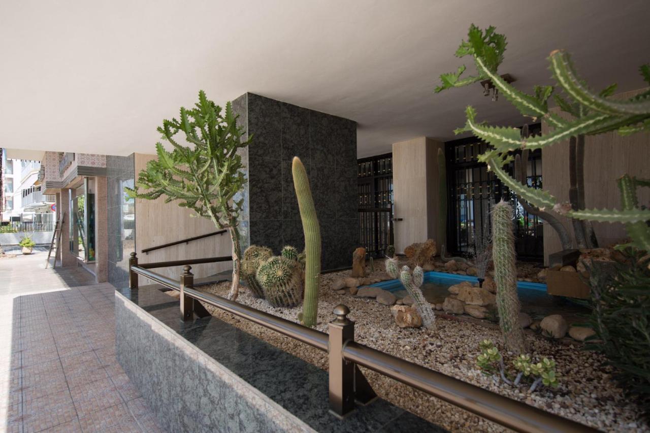 Las Palmeras 15A Apartment Benidorm Bagian luar foto